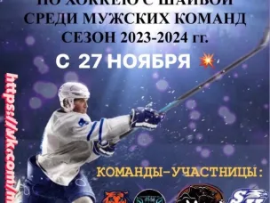 ПЕРВЕНСТВО ДАЛЬНЕКОНСТАНТИНОВСКОГО МУНИЦИПАЛЬНОГО ОКРУГА ПО ХОККЕЮ С ШАЙБОЙ СРЕДИ МУЖСКИХ КОМАНД